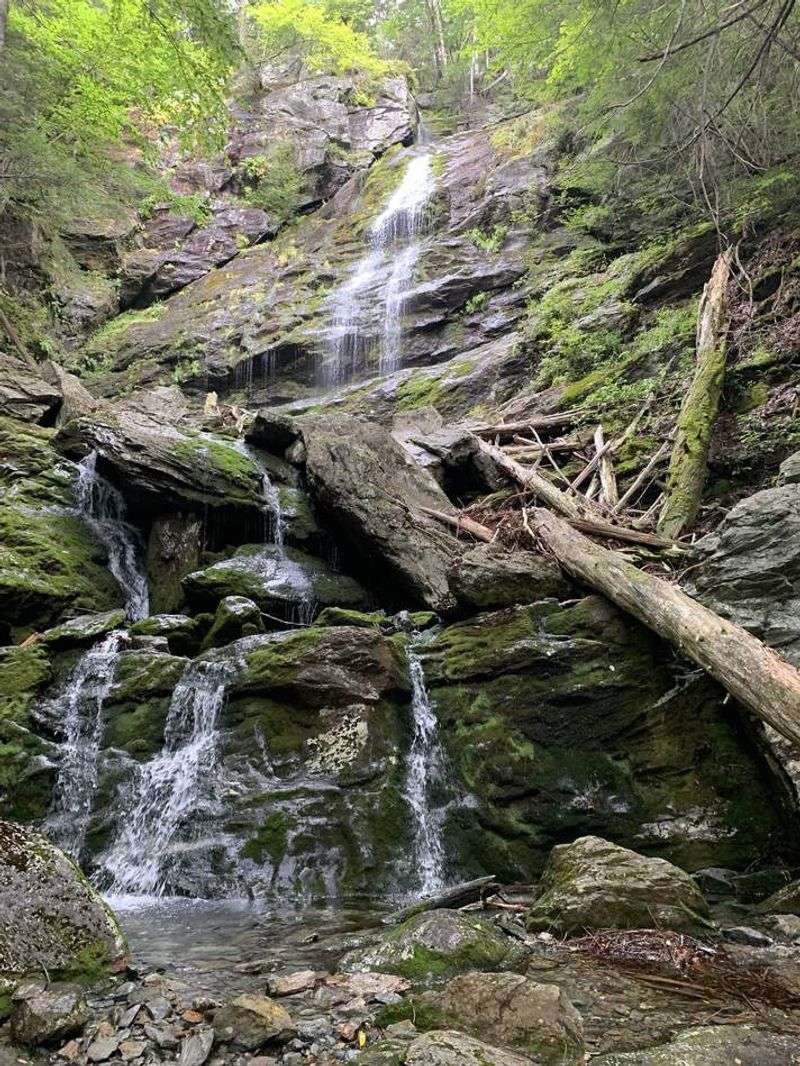 Mount Race via Race Brook Falls Trail (Sheffield)