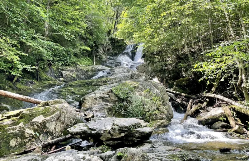 Sanderson Brook Falls Loop (Chester-Blandford State Forest)