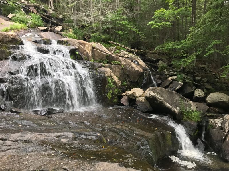 Tully Lake Loop / Tully Trail (Royalston)