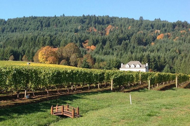 Wine Country Surprises In Small-Town Settings