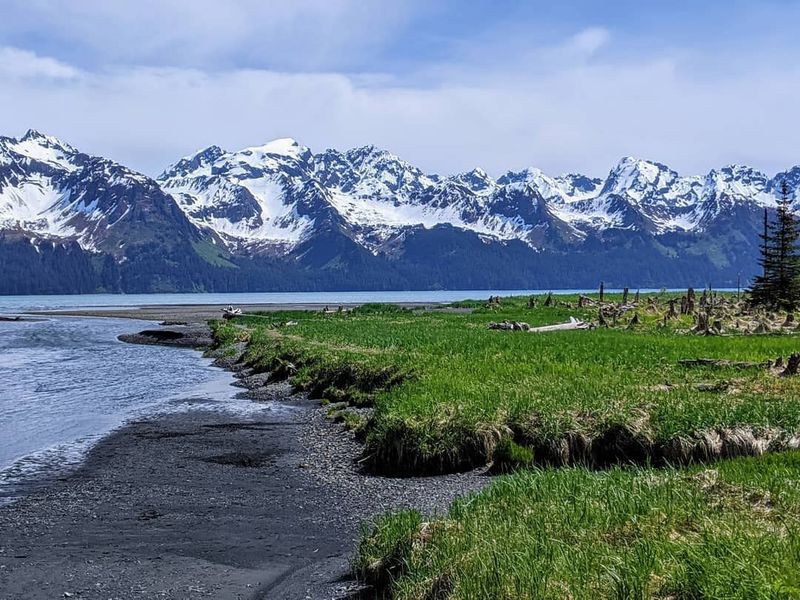 Tonsina Creek Trail