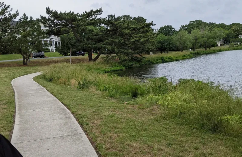 Picturesque Walking Paths