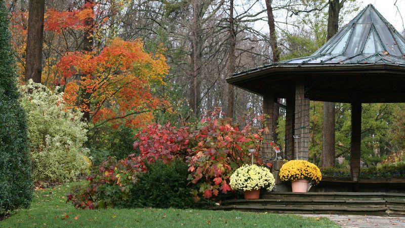 A Garden That Welcomes All