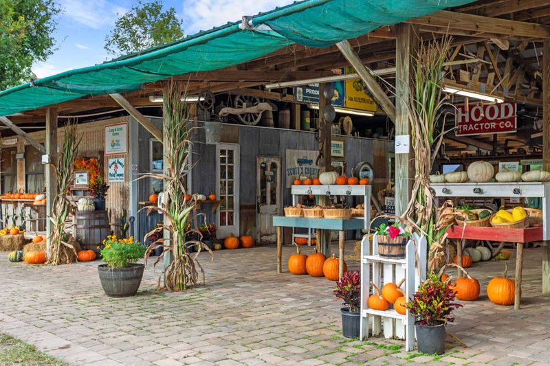 Fresh Produce Connects Shoppers with Local Agriculture