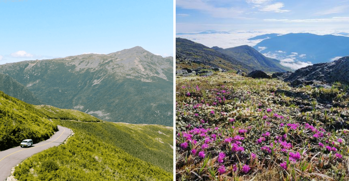 New Hampshire’s Mount Washington Views And The Wonders They Reveal