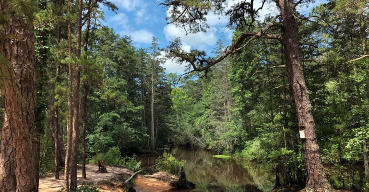 New Jersey’s Terrifying Urban Legend That Still Haunts The Pine Barrens