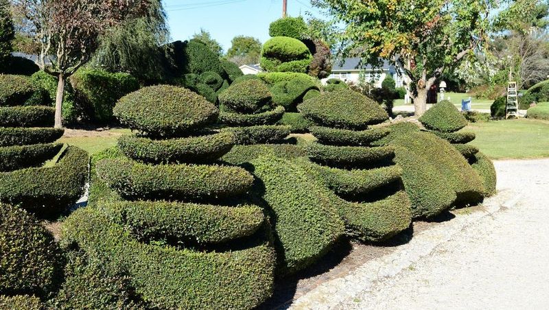 Abstract Shapes That Challenge Reality