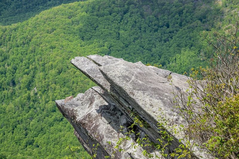 Why This Short Hike Punches Above Its Weight
