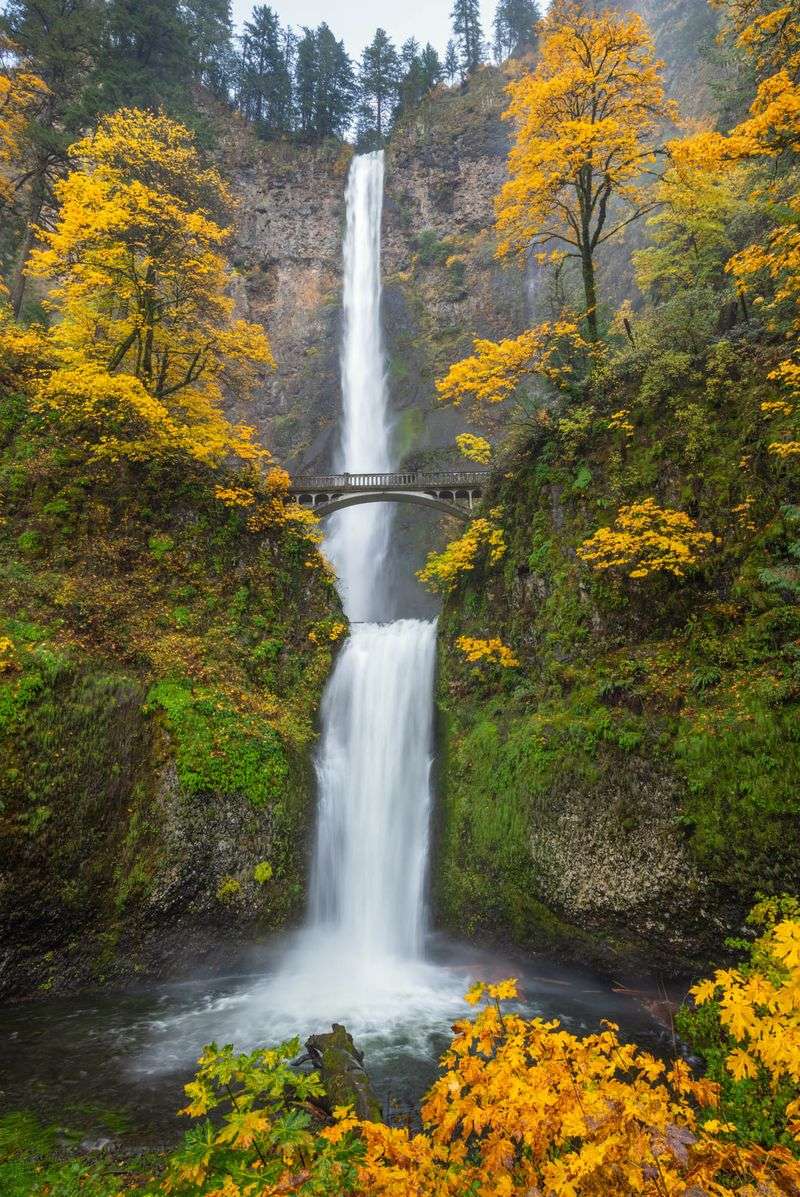 Columbia River Gorge's Fiery Canyon