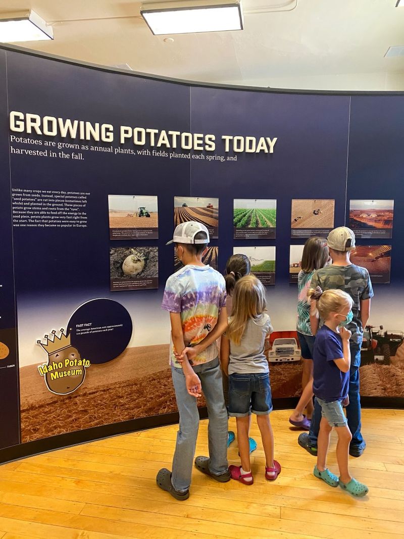 Interactive Learning Through Hands-On Experimentation