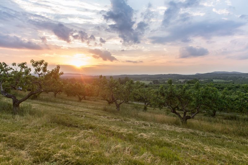 Strategic Location Creates Perfect Day Trip Destination