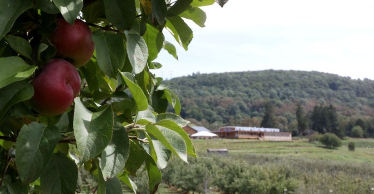 Orange County, New York’s Agricultural Crown Jewel Combines Historic Craft With Modern Flavors