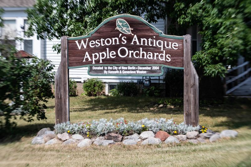 Heirloom Apple Adventure