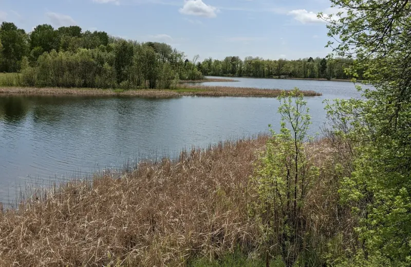 Eleventh Crow Wing Lake: Secluded Paradise