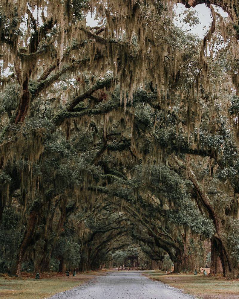 Savannah to Charleston via US-17 & I-95 (Georgia–South Carolina)
