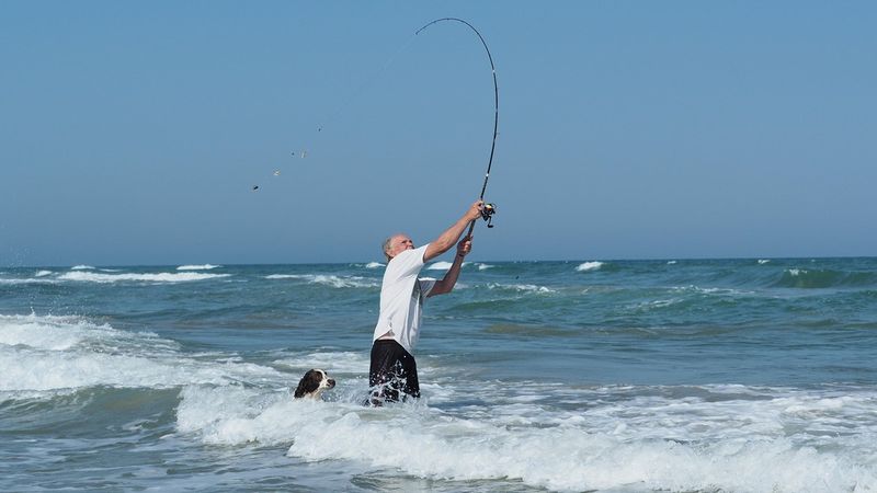 Padre Island National Seashore