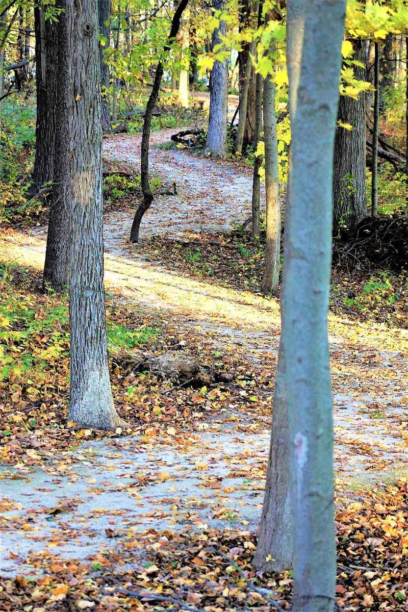 Hike Scenic Trails in LaGrange County Parks