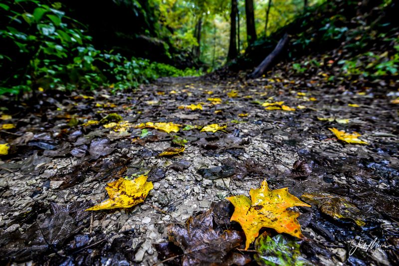 Backbone State Park