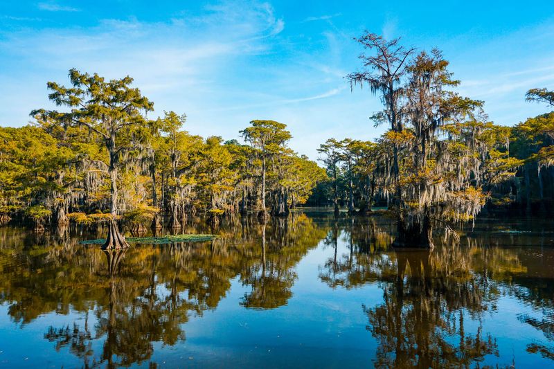 Caddo Lake State Park