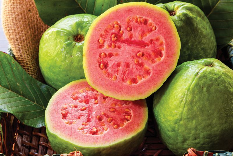 Guava: The Aromatic Wonder