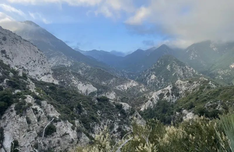 Scenic Hiking Adventures