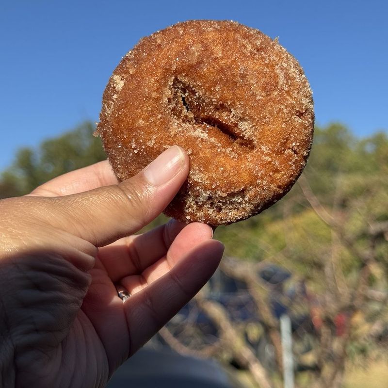 Apple Cider Doughnuts: Morning Glory