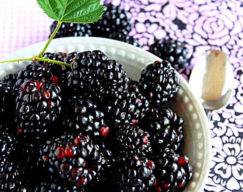 Blackberries