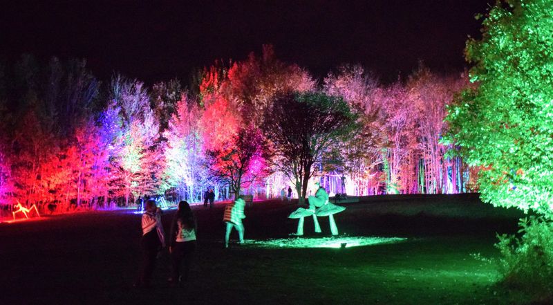 Soundscapes And Sensory Magic