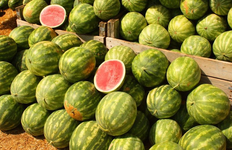 Watermelons
