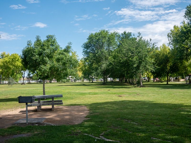 Recreational Activities and Events