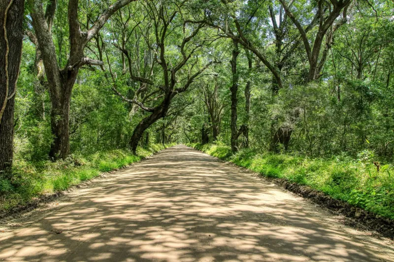 Scenic Byways That Make Easy Road Trips