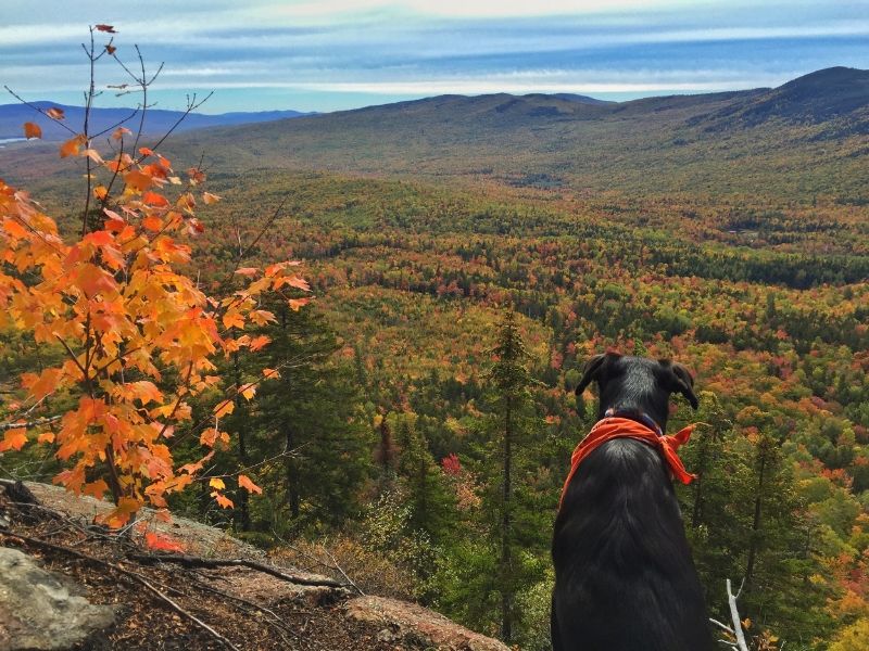Tumbledown Mountain In Western Maine