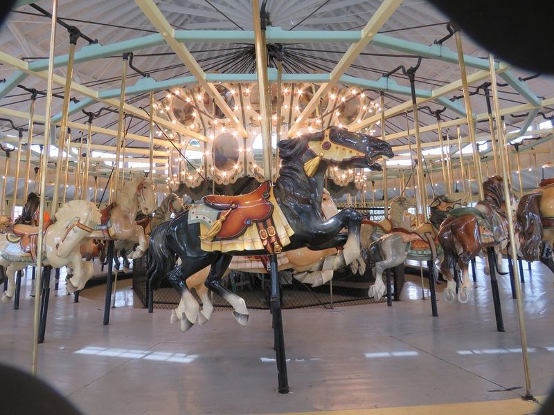 C. Fred Johnson Park Carousel