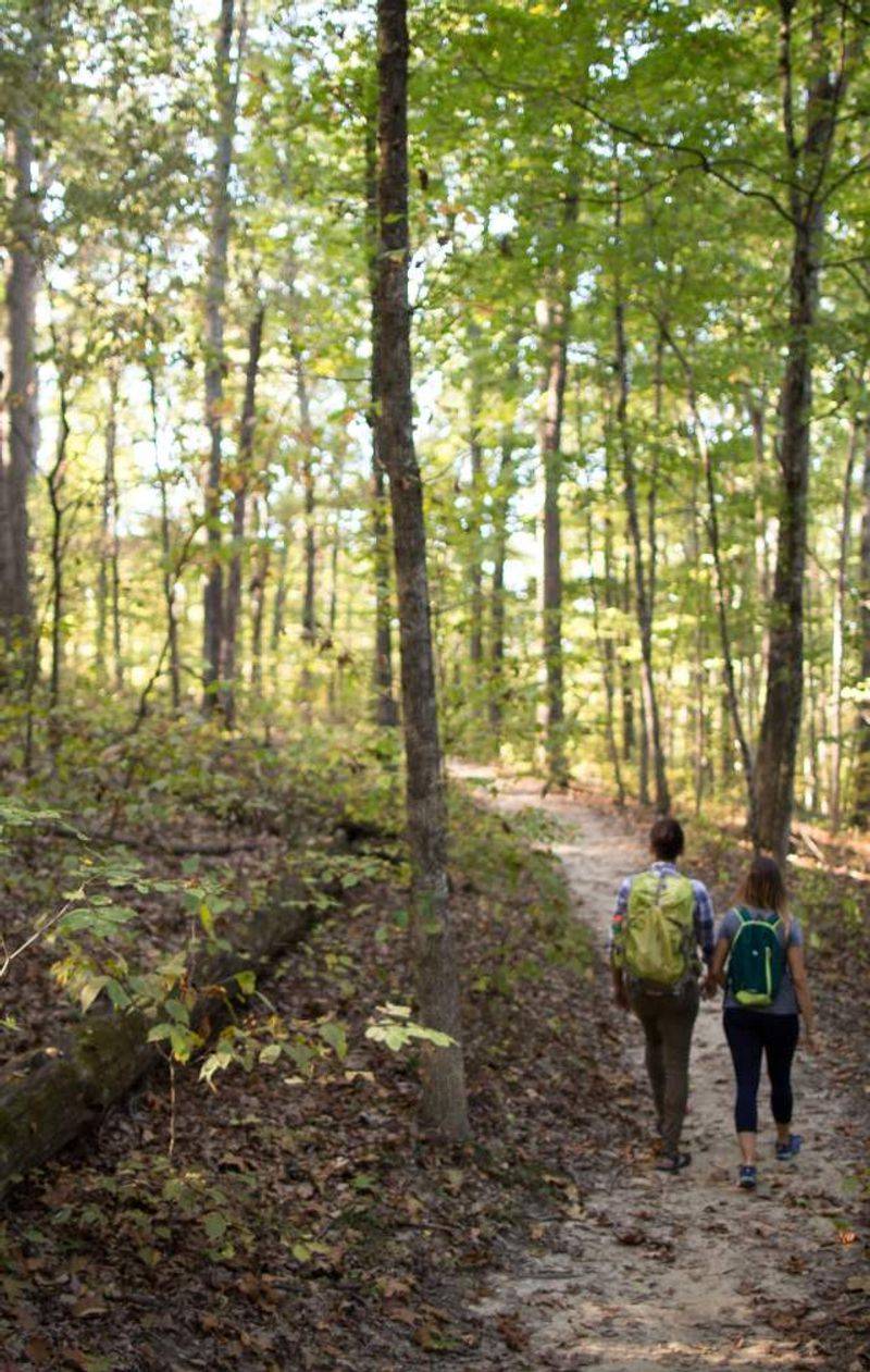 Trails and Natural Wildlife