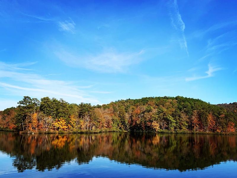 Rare Species Add Ecological Significance