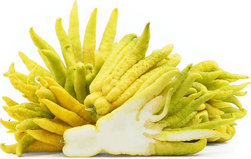 Buddha’s Hand Citron