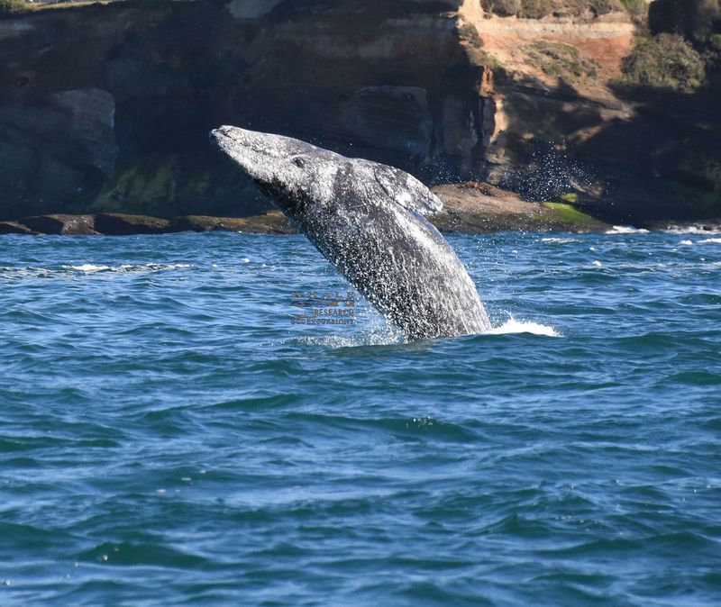 Depoe Bay / Newport, Oregon