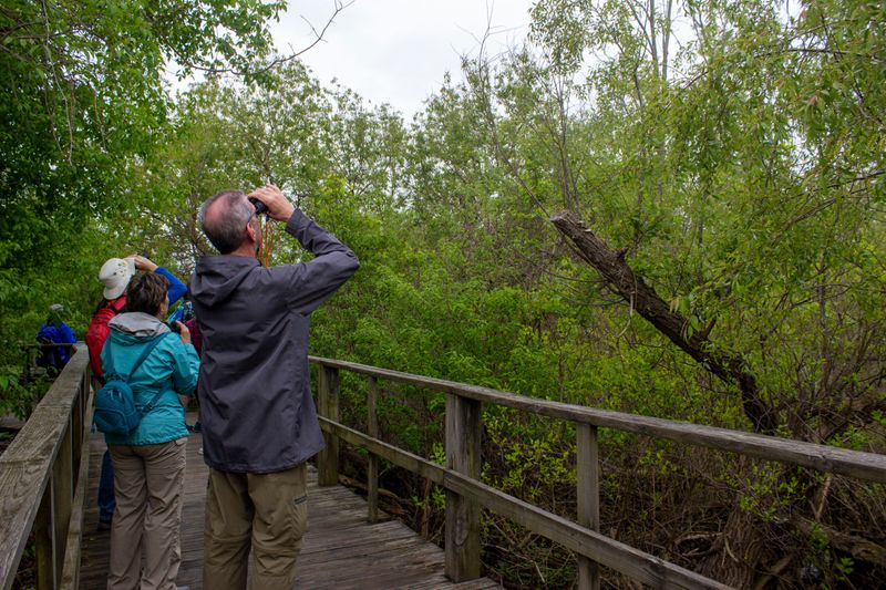 Magee Marsh Wildlife Area
