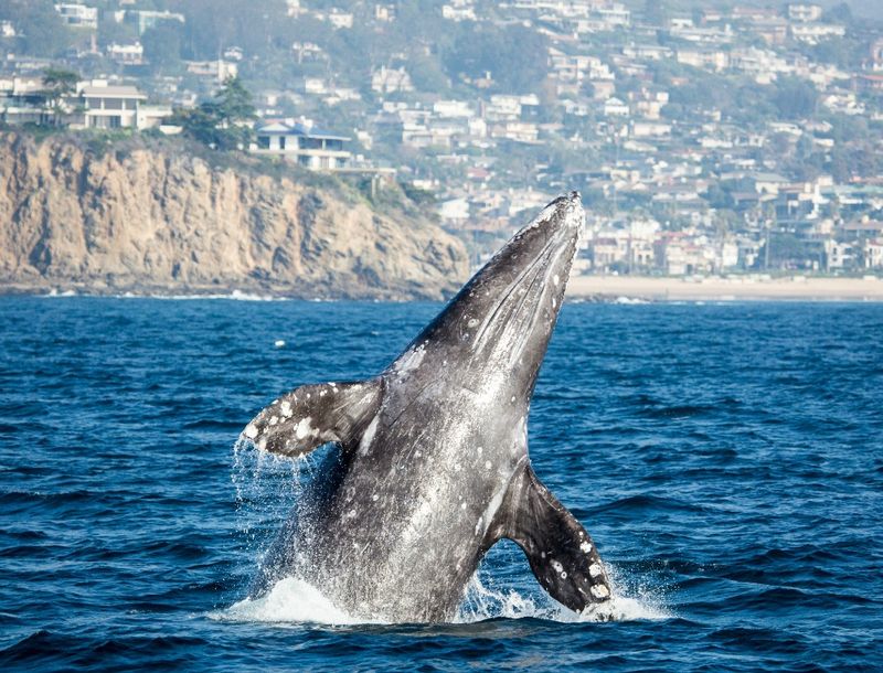San Diego, California