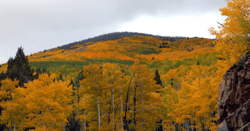 Hyde Memorial State Park (Santa Fe)