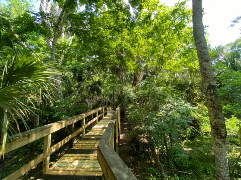 Turkey Creek Sanctuary (Palm Bay)