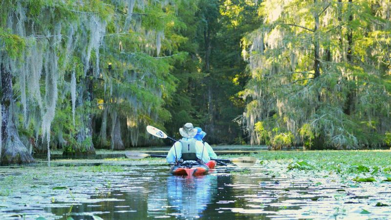 Kayaking Blackwater Rivers And Marsh Creeks