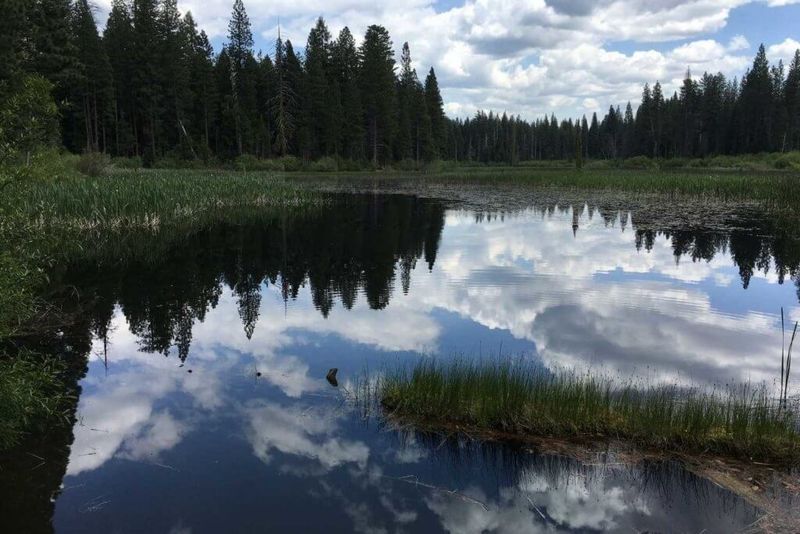 Pristine Lakes for Summer Swimming