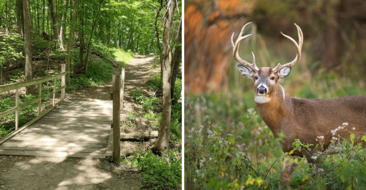Scenic Strolls Await On The Squire Point Hike In North Liberty, Iowa