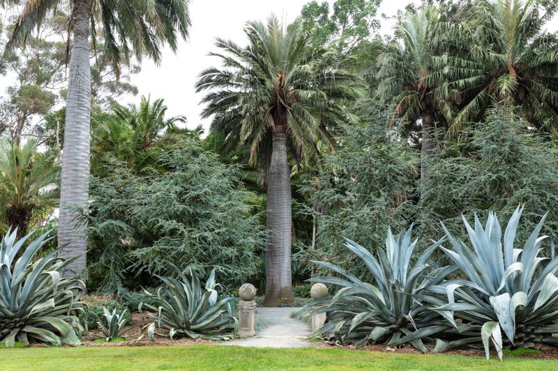 Conservation And Colorful Flora