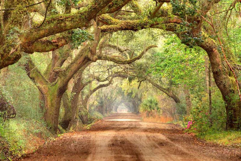 Edisto Island: Laid-Back Beach Community with Historic Roots