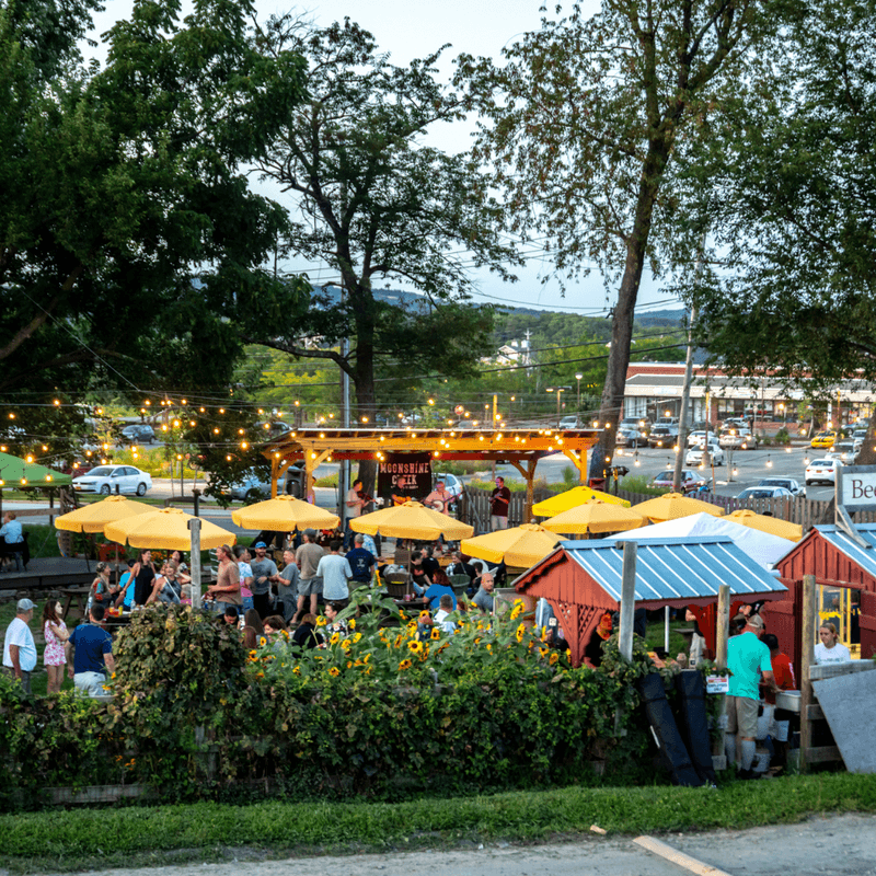 Farm-to-Table Experiences Beyond Simple Markets