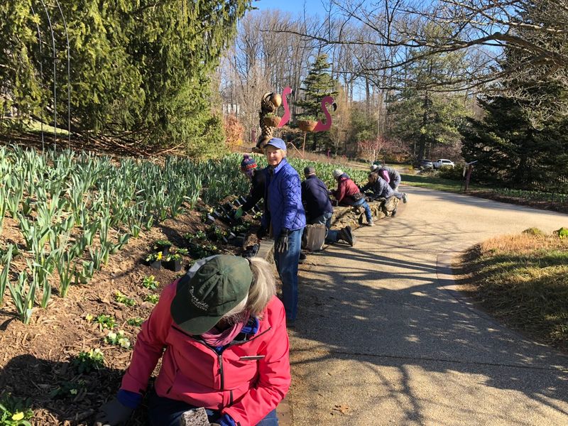 Community And Volunteers