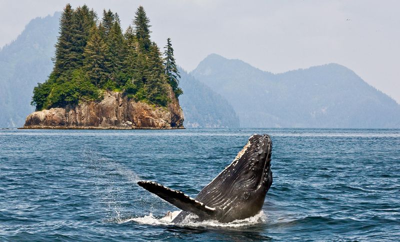 Sitka, Alaska