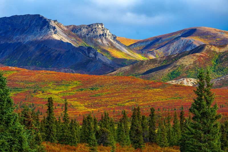 Denali Highway Area